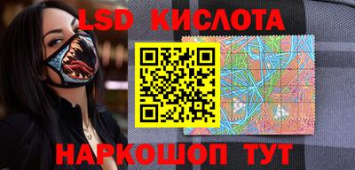 стаф Шелехов