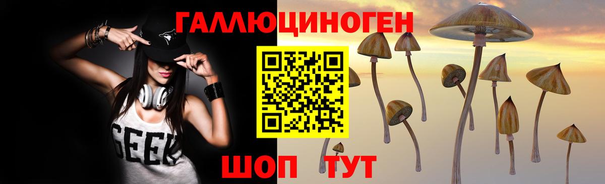 Галлюциногенные грибы Cubensis Богородск